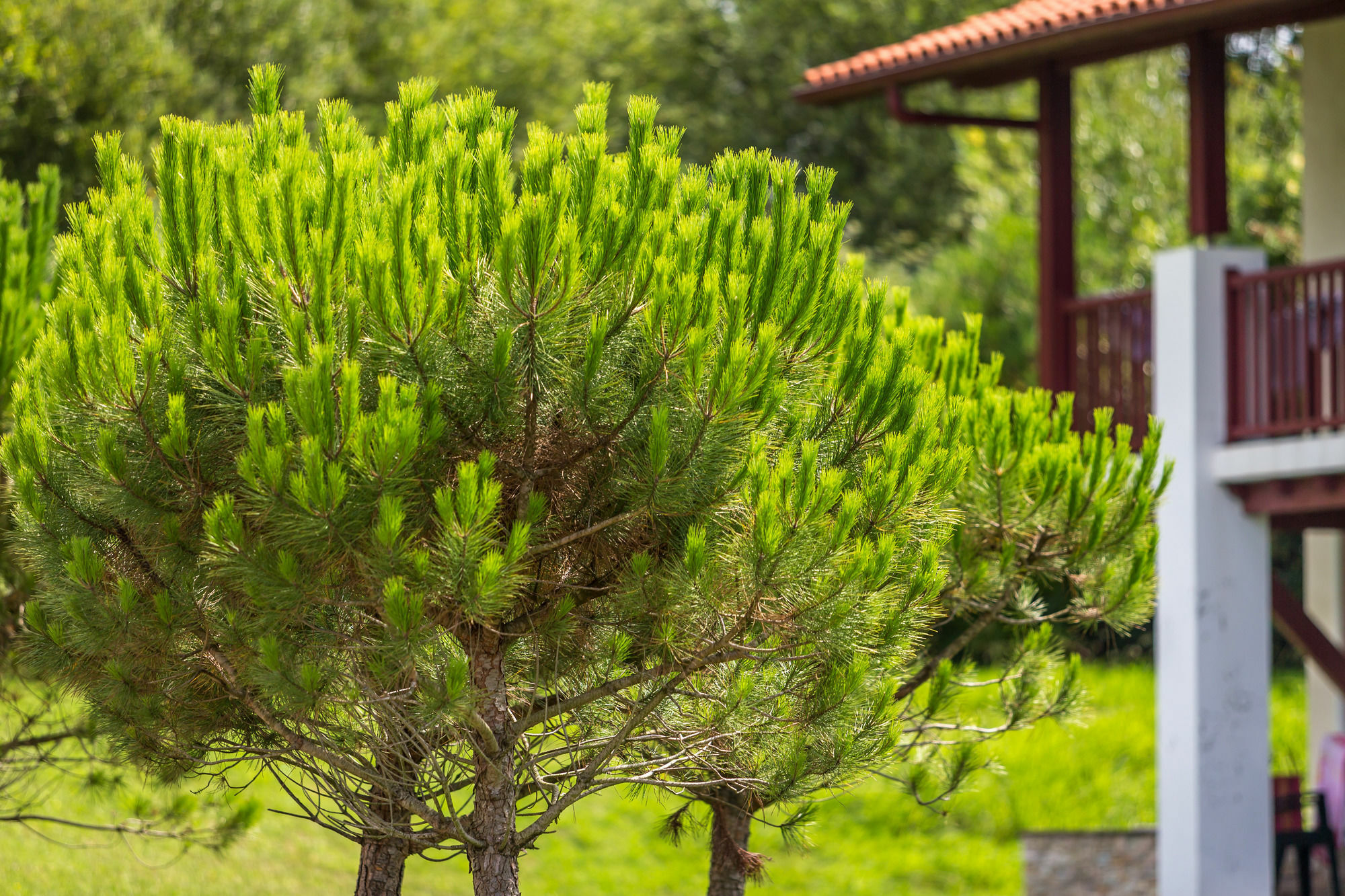 Residence Odalys Domaine Iratzia Saint-Jean-de-Luz Exterior photo